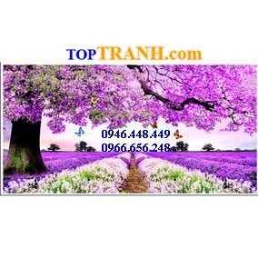 Tranh gắn đá hoa oải hương